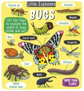 Little Explorers: Bugs (Little Bee Books)(Pevná vazba)