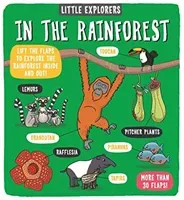 Little Explorers: In the Rainforest (Ltd. Dynamo)(Board book)