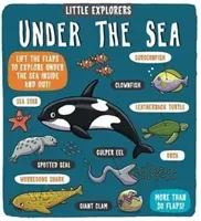 Little Explorers: Under the Sea (Ltd. Dynamo)(Board book)