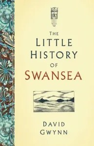 Little History of Swansea (Gwynn David)(Pevná vazba)