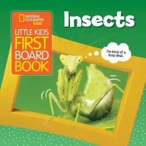Little Kids First Board Book: Insects (Musgrave Ruth)(Board Books)