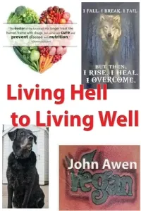 Living Hell to Living Well (Awen John)(Paperback)