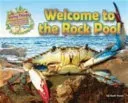 Living Things and Their Habitats: Welcome to the Rock Pool (Owen Ruth)(Paperback / softback)