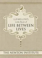 Llewellyn's Little Book of Life Between Lives (The Newton Institute)(Pevná vazba)