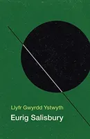 Llyfr Gwyrdd Ystwyth (Salisbury Eurig)(Paperback / softback)
