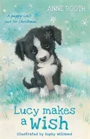 Lucy Makes a Wish (Booth Anne)(Paperback / softback)