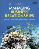 Managing Business Relationship (Gadde Lars-Erik)(Paperback)