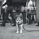 Mastering Street Photography (Duckett Brian Lloyd)(Paperback)