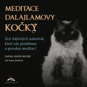 Meditace dalajlamovy kočky - David Michie - audiokniha