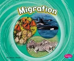 Migration (Jaycox Jaclyn)(Pevná vazba)