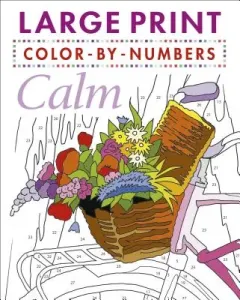 Mindfulness Color-By-Numbers Large Print (Arcturus Publishing)(Paperback)