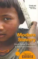 Modern Slavery: A Beginner's Guide (Bales Kevin)(Paperback)