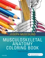 Musculoskeletal Anatomy Coloring Book (Muscolino Joseph E.)(Paperback)