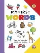 My First Words: Over 300 Everyday Words and Pictures (Lewis Jan)(Board Books)
