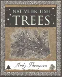 Native British Trees (Thompson Andy)(Paperback / softback)