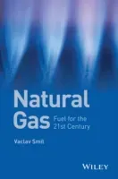 Natural Gas (Smil Vaclav)(Paperback)