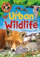 Nature Detective: Urban Wildlife (Munson Victoria)(Paperback)