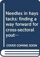 Needles in haystacks - finding a way forward for cross-sectoral youth policy (Council of Europe)(Paperback / softback)