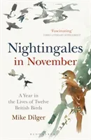 Nightingales in November - A Year in the Lives of Twelve British Birds (Dilger Mike)(Paperback / softback)