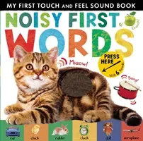 Noisy First Words - My First Touch and Feel Sound Book (Walden Libby)(Novelty book)