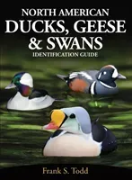 North American Ducks, Geese and Swans - Identification Guide (Todd Frank S)(Paperback / softback)