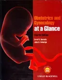 Obstetrics and Gynecology at a Glance (Schorge John O.)(Paperback)