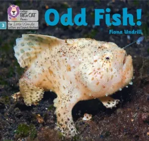 Odd Fish! - Phase 3 (Undrill Fiona)(Paperback / softback)