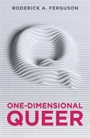 One-Dimensional Queer (Ferguson Roderick a.)(Paperback)