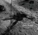 Open Wounds - Chechnya 1994-2003 (Greene Stanley)(Pevná vazba)