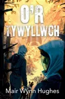 O'r Tywyllwch (Hughes Mair Wynn)(Paperback / softback)