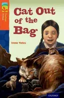 Oxford Reading Tree TreeTops Fiction: Level 13 More Pack B: Cat Out of the Bag (Yates Irene)(Paperback / softback)
