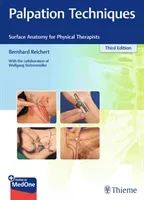 Palpation Techniques: Surface Anatomy for Physical Therapists (Reichert Bernhard)(Paperback)