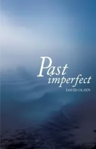 Past Imperfect (Olsen David)(Paperback)
