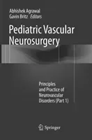 Pediatric Vascular Neurosurgery: Principles and Practice of Neurovascular Disorders (Part 1) (Agrawal Abhishek)(Paperback)