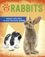 Pet Expert: Rabbits (Barder Gemma)(Paperback / softback)