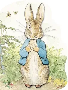 Peter Rabbit (Potter Beatrix)(Board Books)