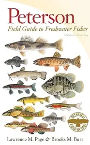 Peterson Field Guide to Freshwater Fishes, Second Edition (Page Lawrence M.)(Paperback)