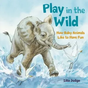 Play in the Wild: How Baby Animals Like to Have Fun (Judge Lita)(Pevná vazba)
