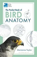Pocket Book of Bird Anatomy (Taylor Marianne)(Paperback / softback)