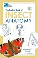 Pocket Book of Insect Anatomy (Taylor Marianne)(Paperback / softback)
