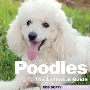 Poodles (Duffy Robert)(Paperback)