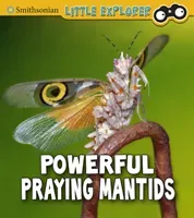 Powerful Praying Mantises (Higgins Melissa)(Paperback / softback)