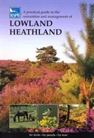 Practical Guide to the Restoration and Management of Lowland Heathland(Paperback / softback)