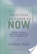 Practicing the Power of Now: Meditations, Exercises, and Core Teachings for Living the Liberated Life (Tolle Eckhart)(Pevná vazba)
