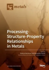Processing-Structure-Property Relationships in Metals (Montanari Roberto)(Paperback)