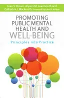 Promoting Public Mental Health and Well-Being: Principles Into Practice (Mackereth Catherine J.)(Paperback)