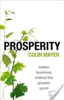 Prosperity: Better Business Makes the Greater Good (Mayer Colin)(Pevná vazba)
