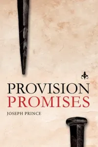 Provision Promises (Prince Joseph)(Paperback)