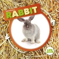 Rabbit (Holmes Kirsty)(Pevná vazba)