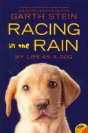 Racing in the Rain: My Life as a Dog (Stein Garth)(Paperback)